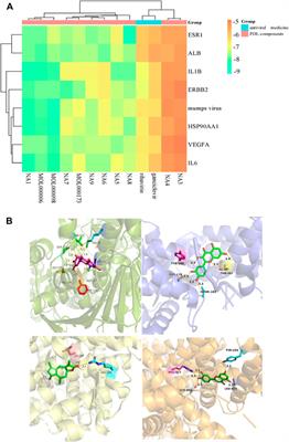 Clinical efficacy evaluation and potential mechanism prediction on Pudilan Xiaoyan oral liquid in treatment of mumps in children based on meta-analysis, network pharmacology, and molecular docking